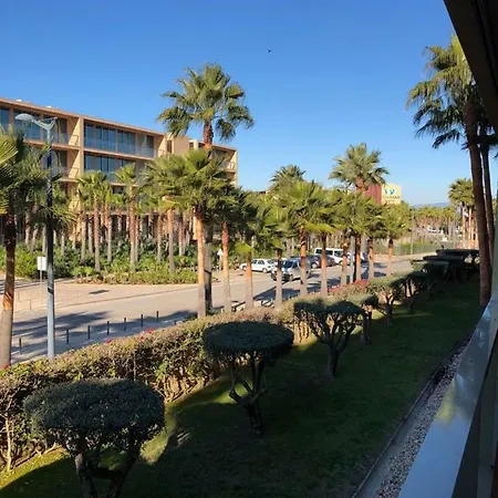 Salgados * 阿尔布费拉